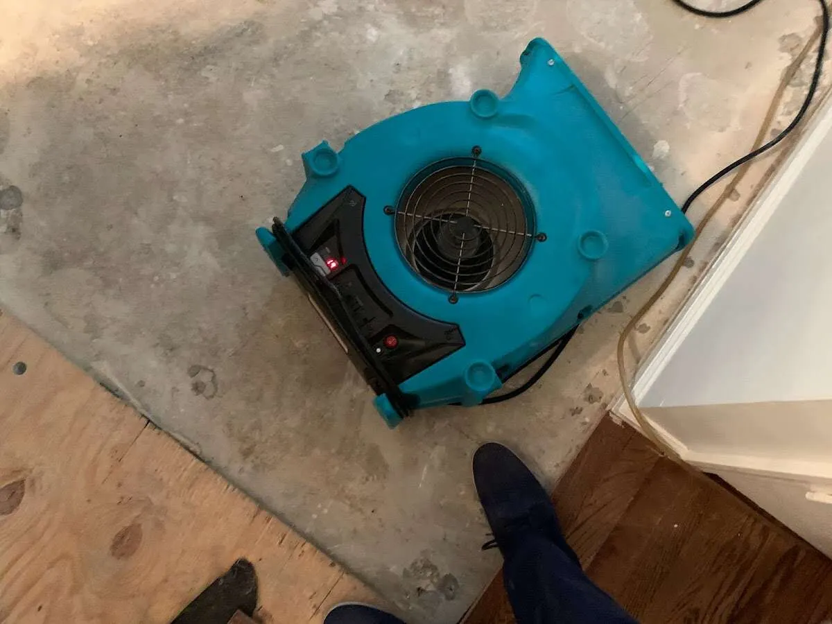 Air mover drying subfloor during Commercial Water Damage Restoration in Ripley